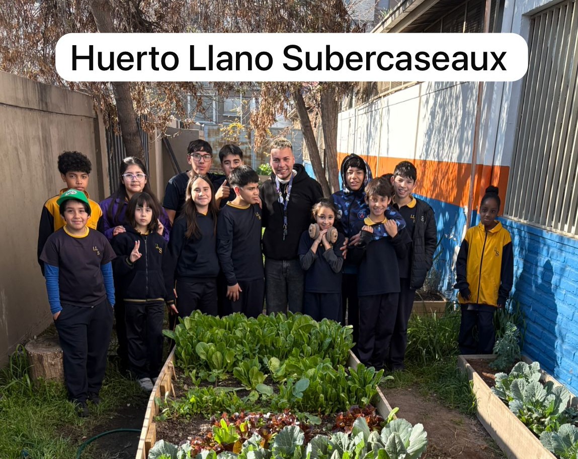 Taller de Huerto Escolar